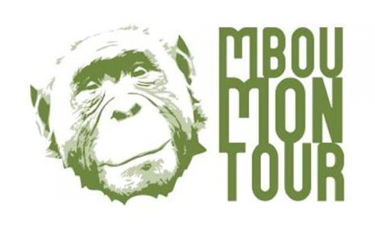 Meet the bonobos with the Mbou Mon Tour Association