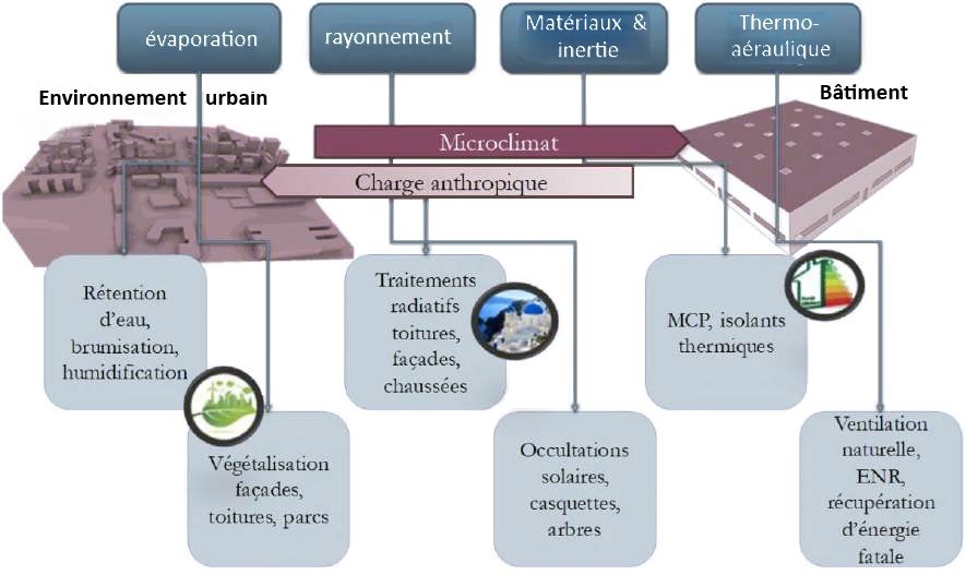 Solutions pour diminuer l’intensité des îlots de chaleur (d’après Shaw et al., 2007 et Colombert, 2016)