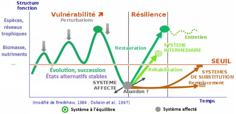 perturbation